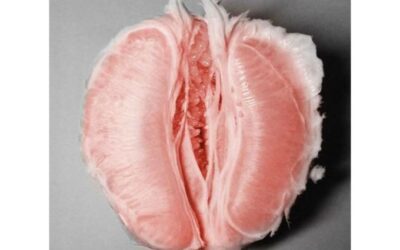 Cómo saber si tienes una vagina sana